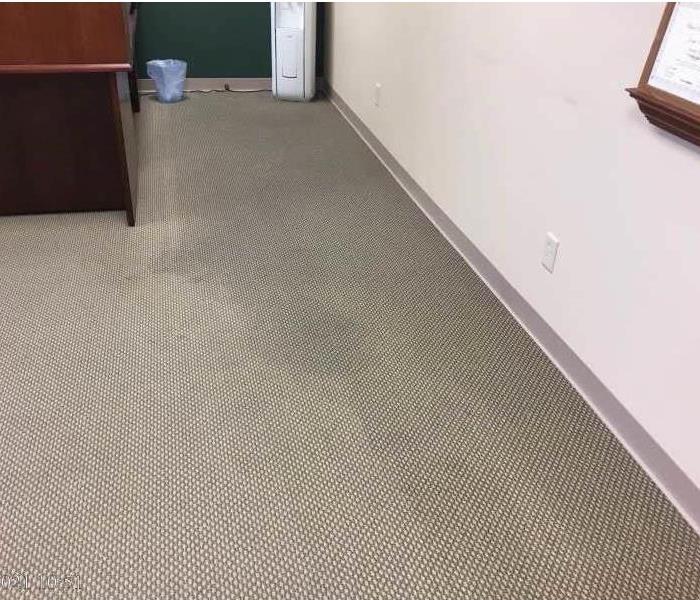 Carpet water damage in a small office