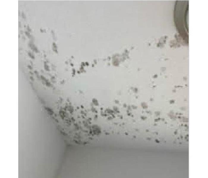 Spots of mold growth on ceiling