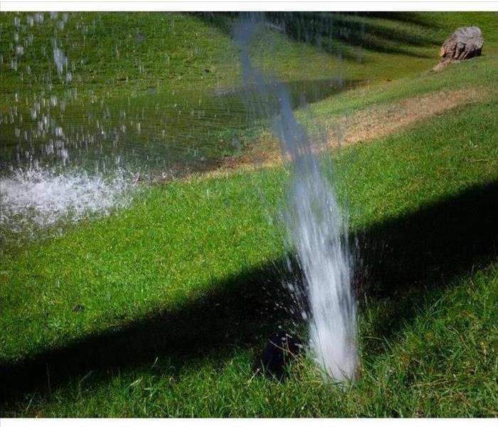 Broken sprinkler in the lawn, water clogging.