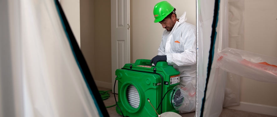 Georgetown, TX mold cleanup